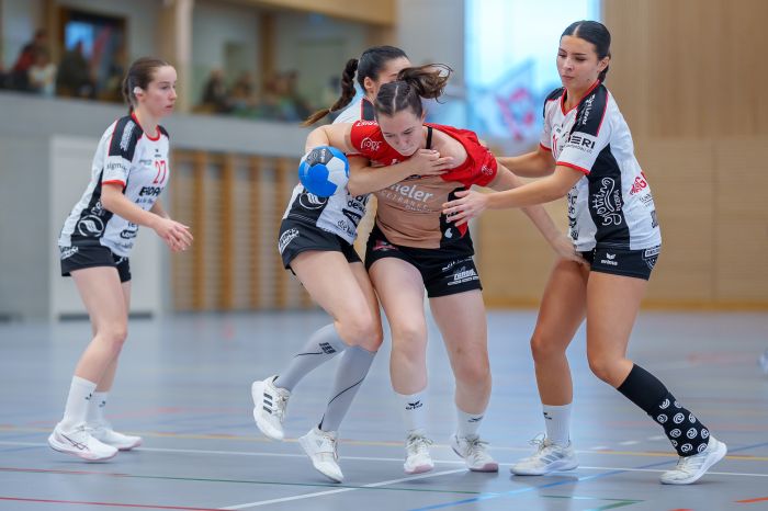 161710_F2_SG_Ruswil_Wolhusen_-_Handball_Emmen-0001