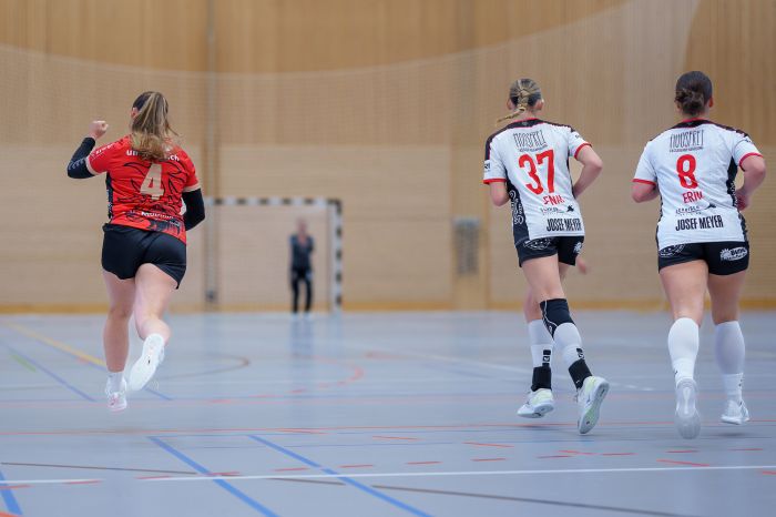 170433_F2_SG_Ruswil_Wolhusen_-_Handball_Emmen-0015