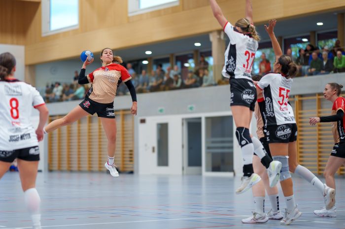 171021_F2_SG_Ruswil_Wolhusen_-_Handball_Emmen-0018