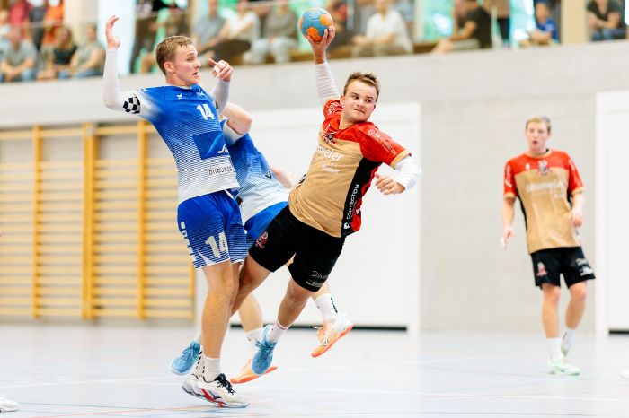 183623_M2-SGRuswilWolhusen-TVDagmersellenI-038